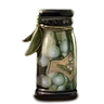 Baies de gui.png