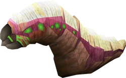 Young grotworm