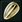 Seed