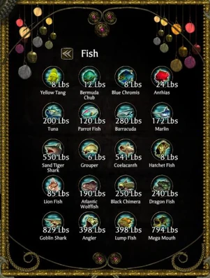 Fish Collection