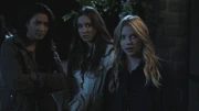 PLL202-0044
