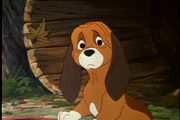 Copper Sad
