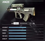 Xm253