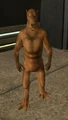 Kirkin-liawoon.jpg