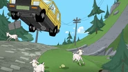 325a - Missed the Goats