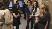 PLL109-00115