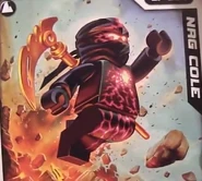 Nrg cole's card