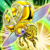 GoldenLadybug-TF04-JP-VG