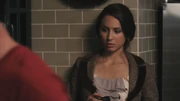 PLL113-0080