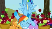 Rainbow Dash crashes into Applejack and Twilight S1E03