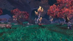 FieldsofNiuzao