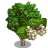 Giant White Mulberry Tree-icon