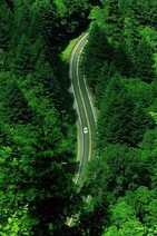 Wolfgang-Road