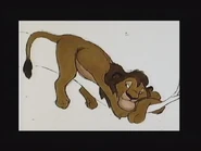 Adult-Simba-art-script-the-lion-king-30842496-640-480