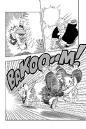 Roshi and Krillin