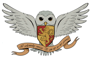 Owl Mail 3