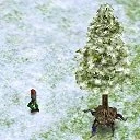 Walkingwoods