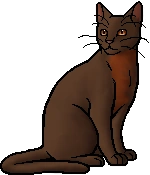 Robinwing (TC).warrior