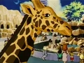 Giraffe-WOTD