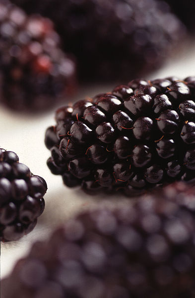 Blackberry Fruit Wiki