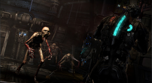 Ds3-1