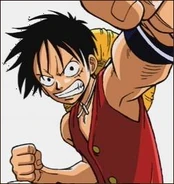 Captain Monkey D. Luffy