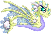 Adult Pearl Dragon