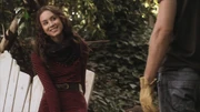 PLL207-00280