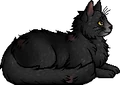 Graypool.elder