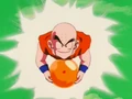 KuririnWithNamekianDB