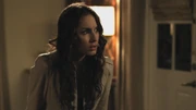PLL211-01010