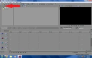 Sony Vegas 1