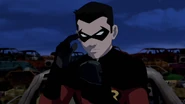 Robin communicator
