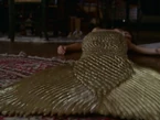 5x01-37