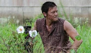 Walking-Dead-Cherokee-Rose