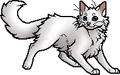 Cloudpelt.apprentice