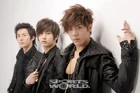 Ss301