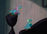 Birds on the Bed