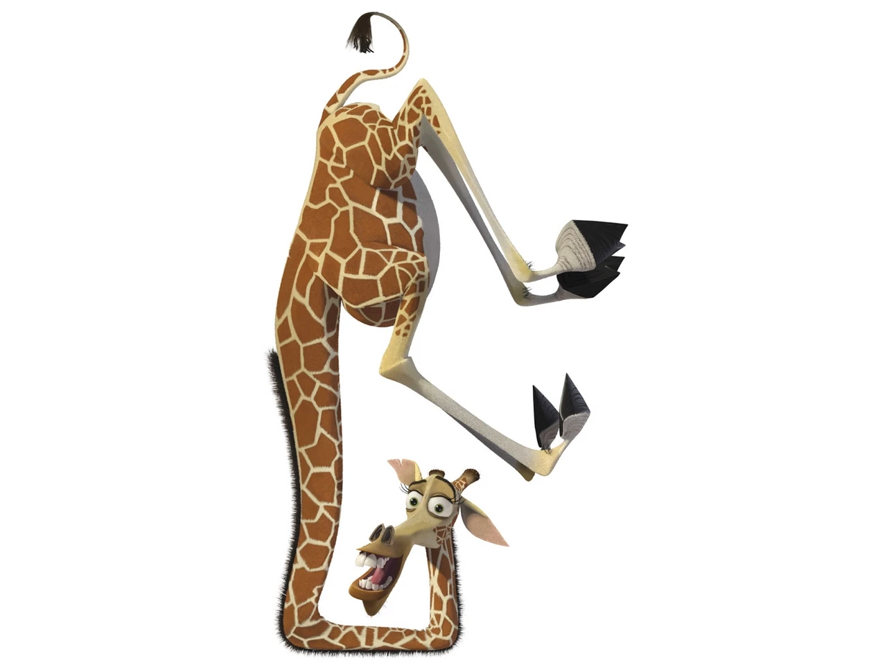 Image Melman 3 jpg Madagascar Wiki