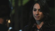 PLL216-00881