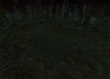 EvilForest2-ffix-battlebg