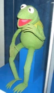 Kermit the frog