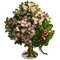 Chinese Chestnut-icon