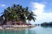 Images (16)