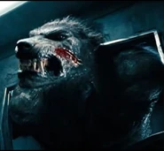 Quint wounded by Selene