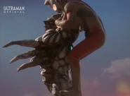 Zeglanoid lifts