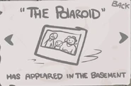 The Polaroid