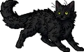Graystripe.apprentice