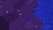 180px-Taint-grub-husks