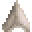 Shark Teeth